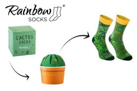 Cactus socks box 1 pair, high quality green cotton socks, cactus art, product unisex