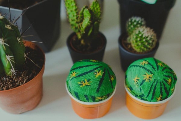 Cactus Socks von Rainbow Socks, 1 Paar Set, lustige und originelle Baumwollsocken, Cactus Energy
