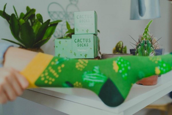 Cactus Socks Box 1 Pair, Rainbow Socks, green patterned socks by Rainbow Socks, cactus green