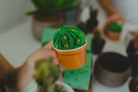 Skarpetki kaktus w doniczce, zielone skarpetki z bawełny czesanej OEKO-TEX, kolorowe skarpetki na prezent, produkt uniseks