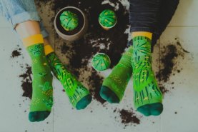 Cactus Socks Box 1 Pair, colourful cotton socks, green socks, gift idea, cactus like plants, cactus like succulent