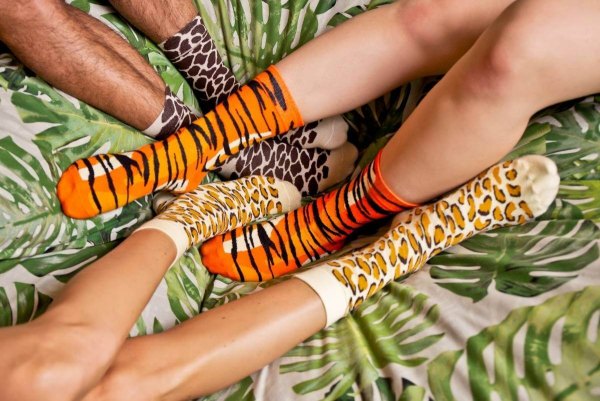 Gepardzie skarpetki od Rainbow Socks, 1 para, skarpetki z motywem dzikich zwierząt, dzikie zwierzęta