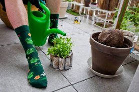 grüne Baumwollsocken, Gießkanne, bunt gemusterte Socken, Rainbow Socken