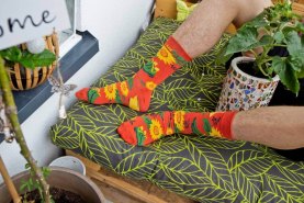 pomarańczowe bawełniane skarpetki w słoneczniki, Rainbow Socks, 1 para