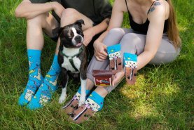 cotton socks for fan of dogs, socks with dog patterns, doghouse socks box, 2 pairs