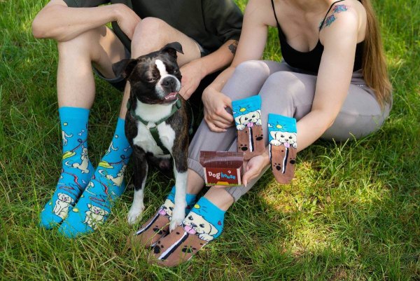 Baumwollsocken für Hundefans, Socken mit Hundemuster, Hundehaus-Sockenbox, 2 Paar
