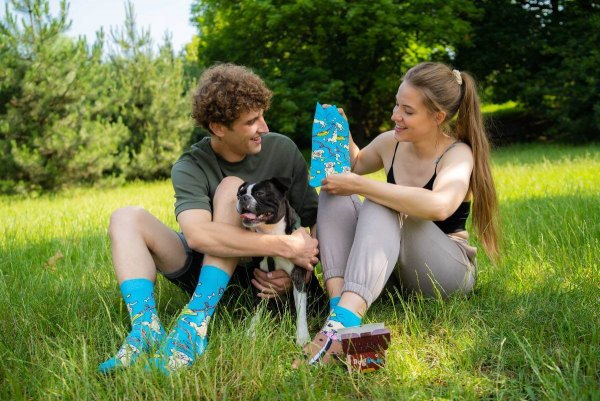 doghouse socks box, 2 pairs, colourful socks with dog patterns, Rainbow Socks
