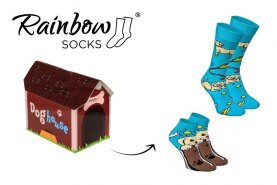 Doghouse Socken, Socken mit Hundemuster, blaue und braune Baumwollsocken, Rainbow Socken