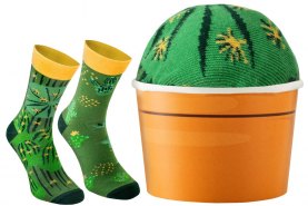 Cactus Socks Box by Rainbow Socks, 1 pair set, green cotton socks, cactus flower