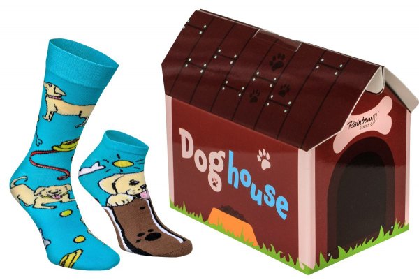 Doghouse Socks Box, 2 pair of colourful cotton socks, gift idea for dog lover