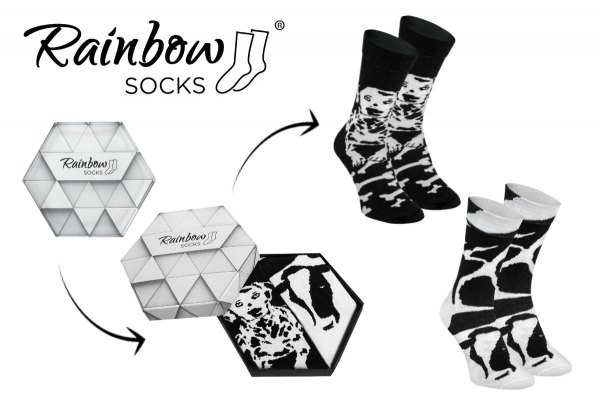 Black and White Dalmatian Socks, socks with animals patterns, gift idea for animals lover, Rainbow Socks