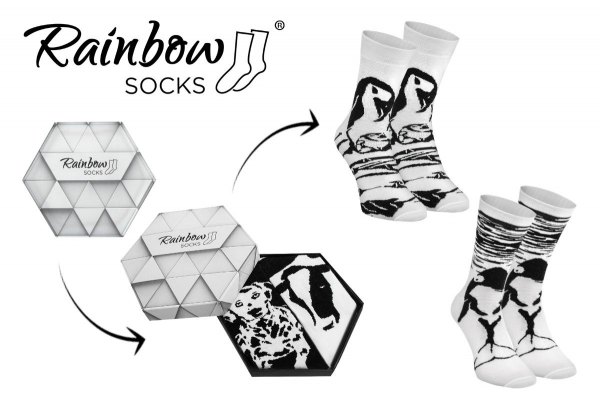 Penguin Socks, Orca Socks, Black and White  Animals Socks Box, 2 pairs, high quality cotton socks for men and women