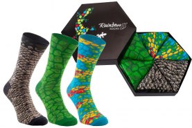 Reptile socks, reptile socks box, 3 pairs, colourful cotton socks, jungle, Rainbow Socks