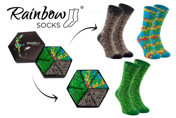 Reptile Socks Box, socks with reptile patterns, colourful cotton socks, gift idea for traveller, Rainbow Socks