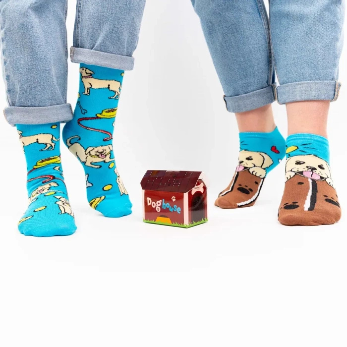 Doghouse Socks Box