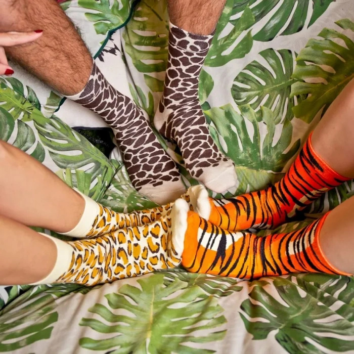 Wild Animals Socks Box