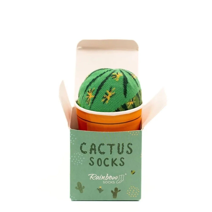 Cactus Socks Box