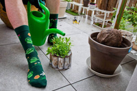 Watering can cotton socks 1 pair