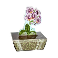 Orchid Flower Socks Box