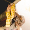 Cheese Socks Box