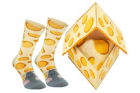 Cheese socks box 1 pair