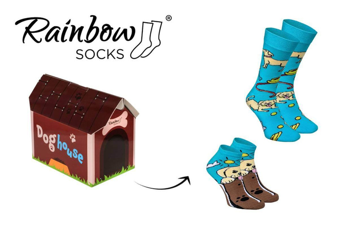 Doghouse Socks Box 2 Pairs