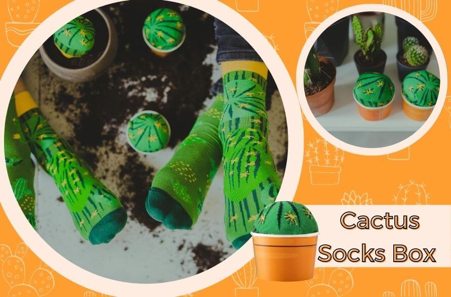 Julia's favourite socks - Cactus Socks Box