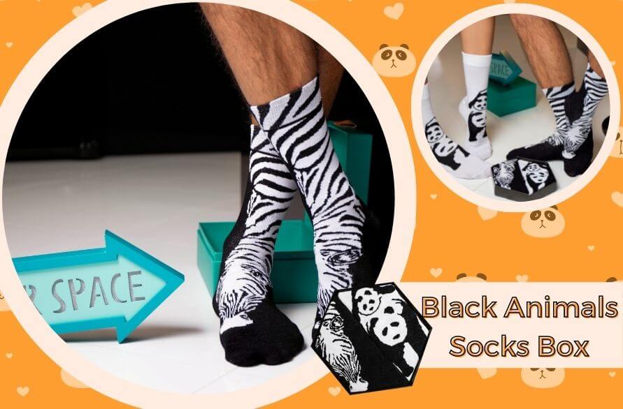 Marcin's favourite socks - Black & White Animals Socks Box